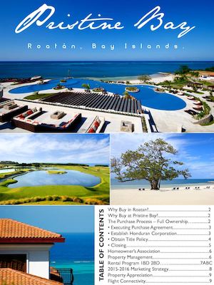 Pristine Bay Buyer's Guide 2016