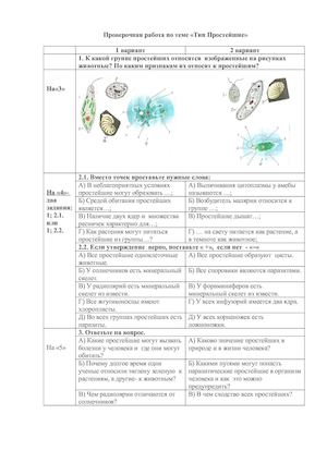 ПР ПРОСТЕЙШИЕ