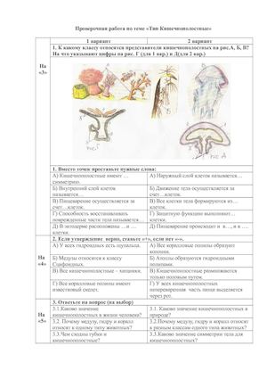 ПР КИШЕЧНОПОЛОСТНЫЕ