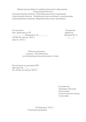 Рабочаяя программа Русский язык 5 - 8 классы