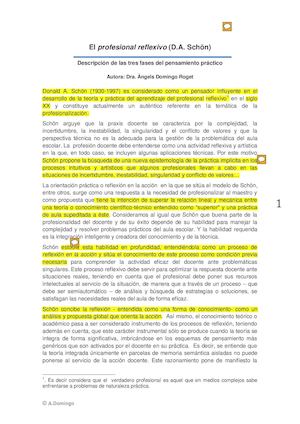 El profesional reflexivo (D.A. Schön)