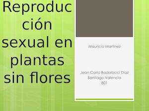 reproduccion sexual en plantas sin flores