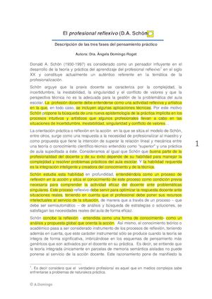 D Schon Fundamentos El Profesional Reflexivo