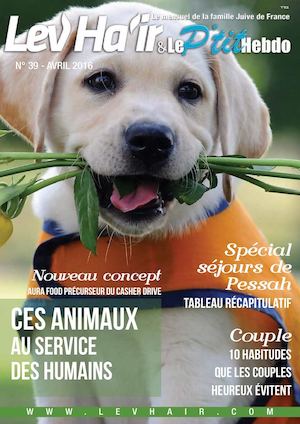 Lev Ha'ir LeP'tit Hebdo N° 39 Digital