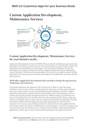Custom Application Development Services - NSM LLC