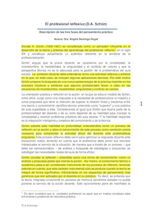 D Schon Fundamentos El Profesional Reflexivo 1111