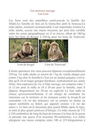 Les Lion