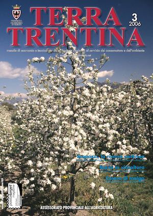Terra Trentina 2006 - n. 3