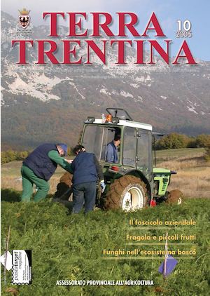 Terra Trentina 10/2005