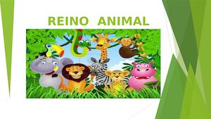 Reino Animal Ciencias