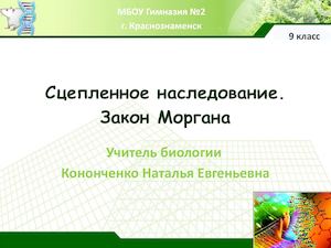 Сцепленное наследование. Закон Моргана.