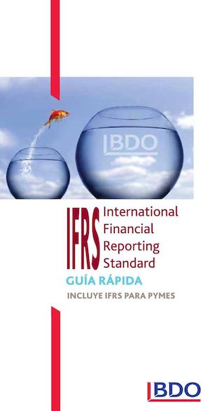 La Guía De Ifrs Elaborada Por La Firma Bdo