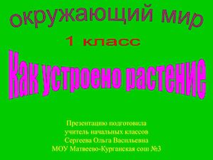 Как устроено растение