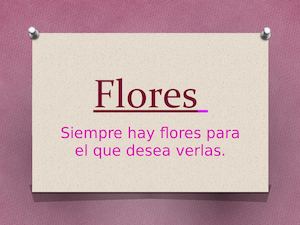 Flores