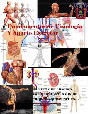 Actividad Integradora Aparato Excretor