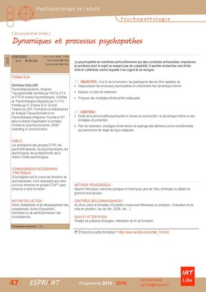 Detail De Formation Dynamiques Et Processus Psychopathes