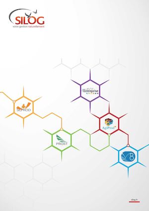 Catalogue Solutions Erp Et Gpao Silog