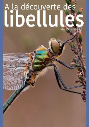 Extrait "A la découverte des Libellules des Deux-Sèvres"