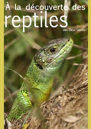 Dsne Extrait Livre Reptiles