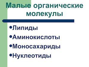 ЛИПИДЫ Аминокислоты