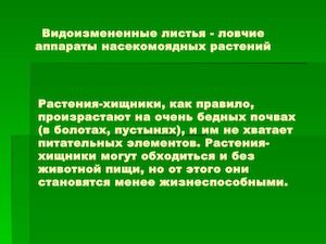 Насекомоядные растения