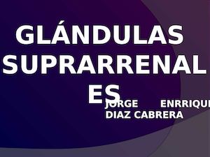 Glandulas Suprarrenales