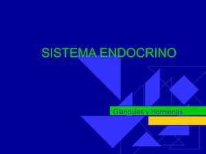 Sistema Endocrino