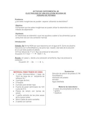 Actividad Experimental 7electrolisis De Yoduro De Potasio