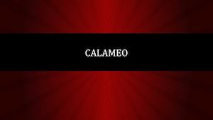 Calameo Pdf