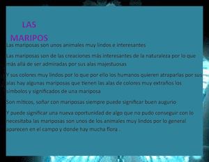 que son las mariposas