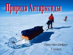 Природа Антарктиды