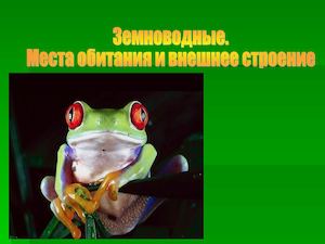 Класс Земноводные