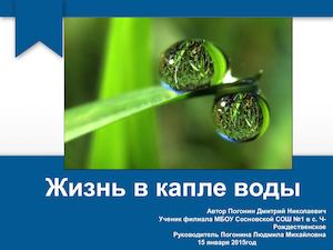 Строение хламидомонады Погонин Д