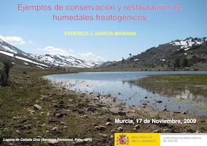 Rehabilitacion y Restauración de Humedales Freatogénicos
