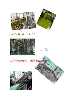 Nuestra visita a la almazara del pueblo