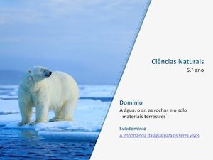 Importancia Da Agua para os Seres Vivos