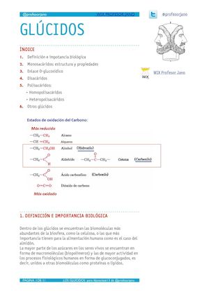 Glúcidos Apuntes