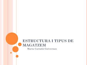 Estructura I Tipus De Magatzem