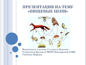 Презентация на тему «Пищевые цепи»