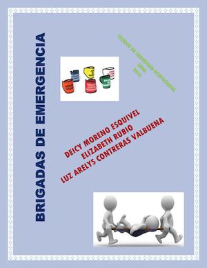 Revista Brigadas De Emergencia