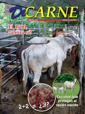 De Carne 21