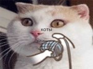 Презентация Microsoft Office Power Point