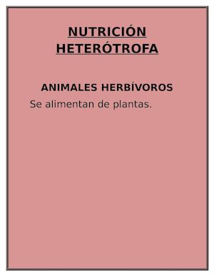 Nutrición Heterótrofa