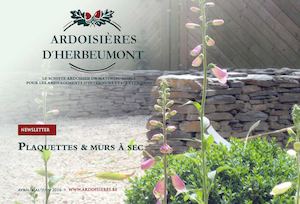 Les plaquettes sous toutes leurs formes