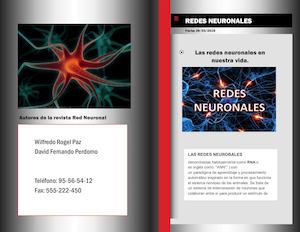 Redes Neuronales Pdf
