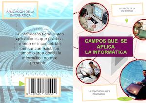 Aplicacion De La Informatica