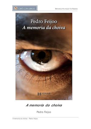 Guía de lectura de A memoria da choiva de Pedro Feijoo