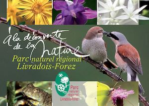 A la découverte de la nature dans le Parc naturel régional Livradois-Forez