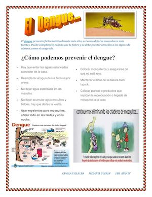 Dengue - Folleto