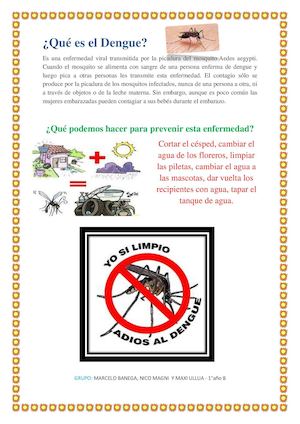 Qué Es El Dengue FOLLETO